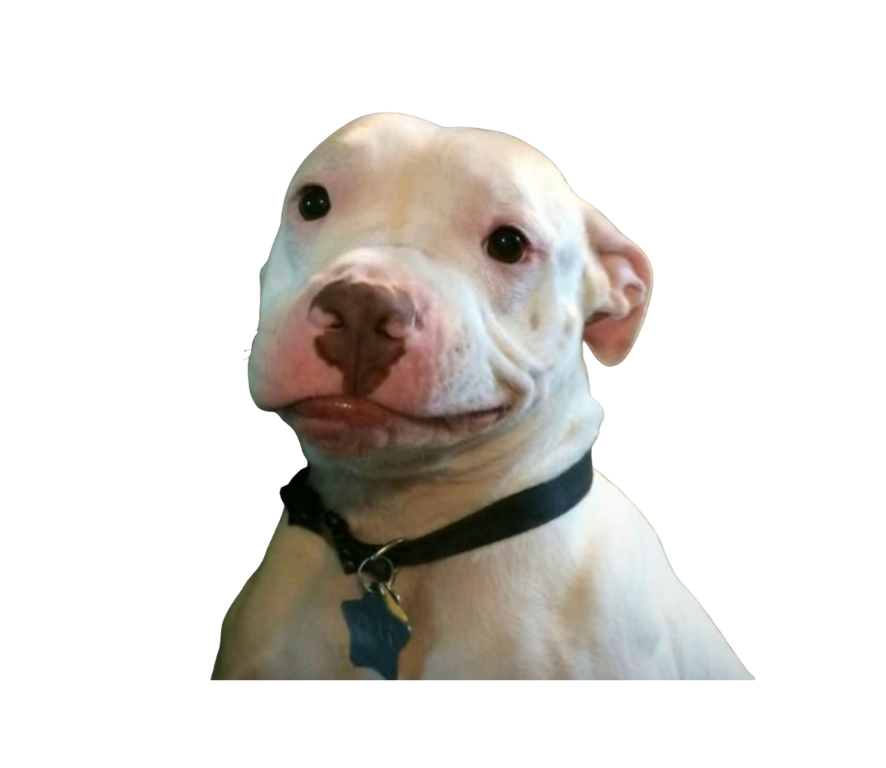 Custom Emblem
