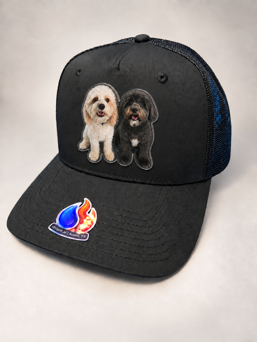 Two best friends on a black hat
