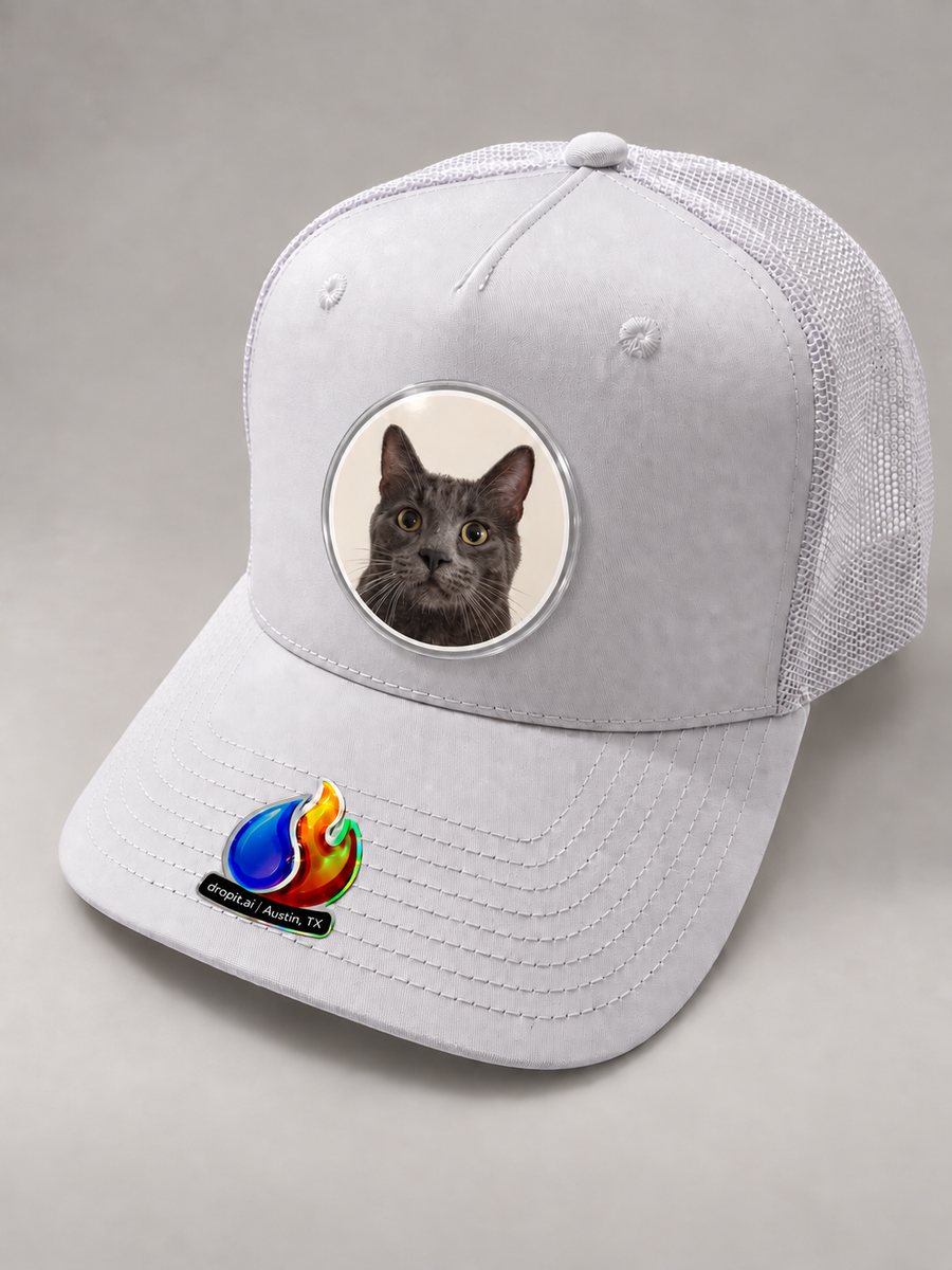 A favorite cat on a white hat