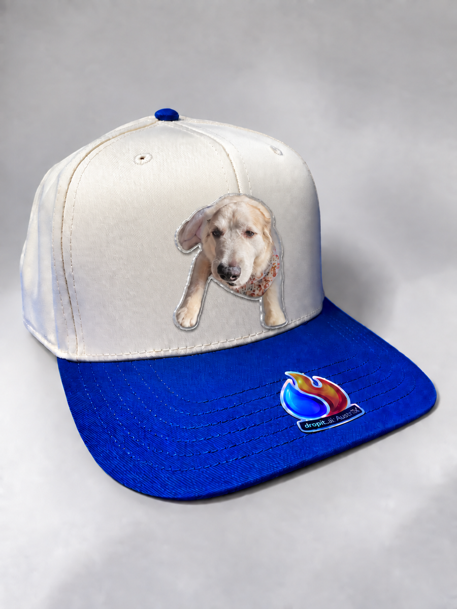 A favorite dog on a blue and white hat